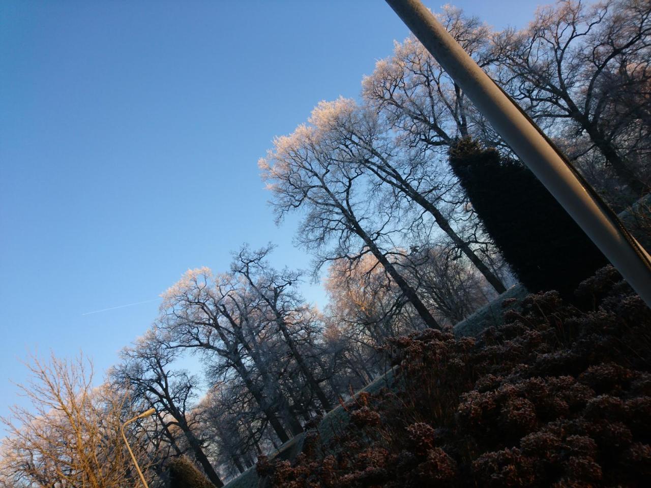 Deventer Heritage En Boutique B&B Museumhuis Huize "De Worp" Exterior foto